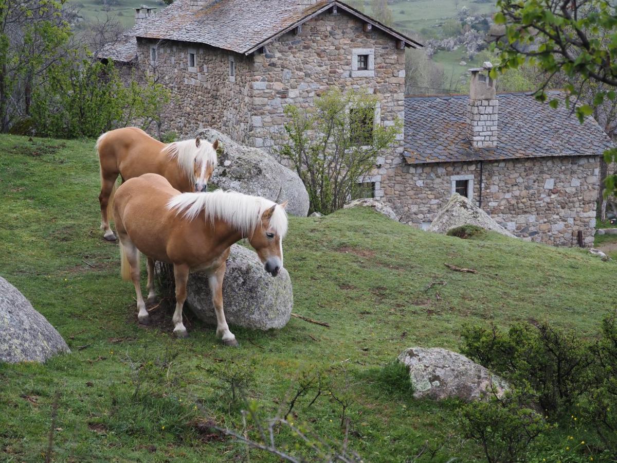 Ferme Can Llull Enveitg エクステリア 写真