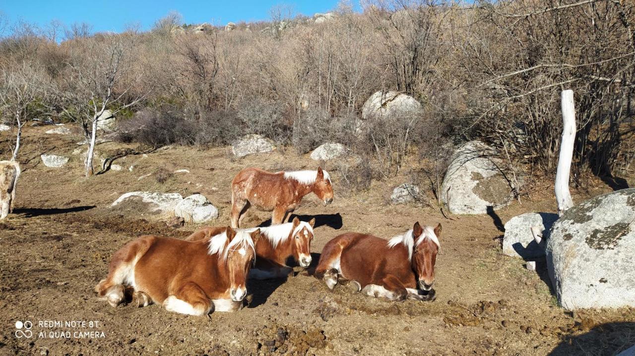 Ferme Can Llull Enveitg エクステリア 写真