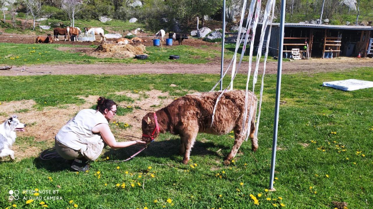 Ferme Can Llull Enveitg エクステリア 写真